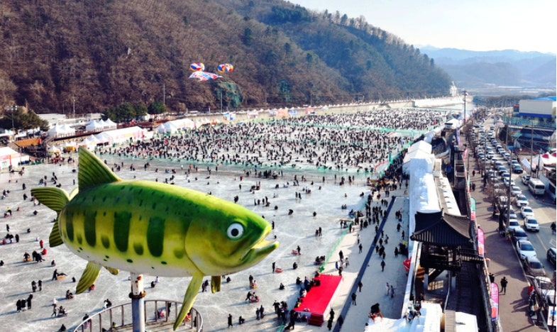 Hwacheon Sancheoneo Ice Festival (화천 산천어축제)