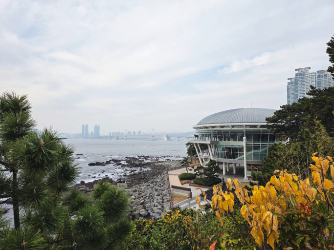 Dongbaekseom Island