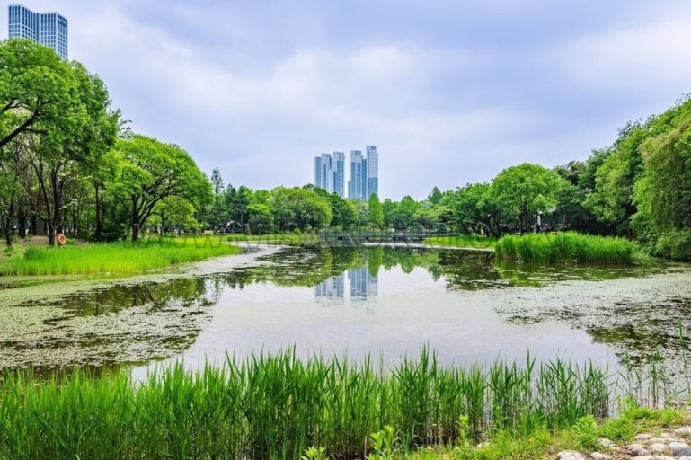 Seoul Forest