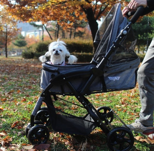 펫 스트롤러 (Pet Strollers)
