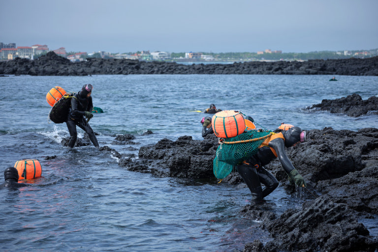 Jeju's haenyeo (해녀)