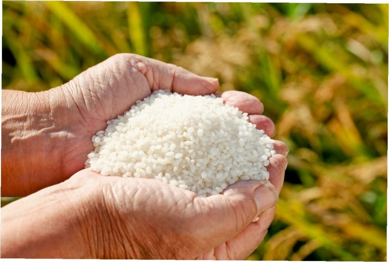 Korean rice
