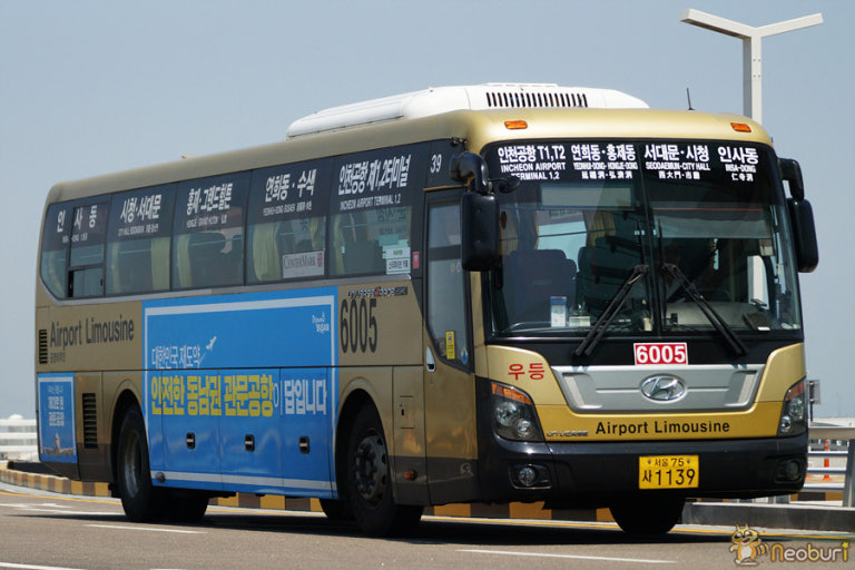 airport limousine bus