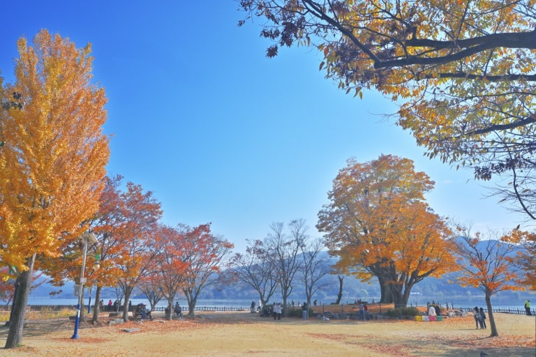 Korean autumn